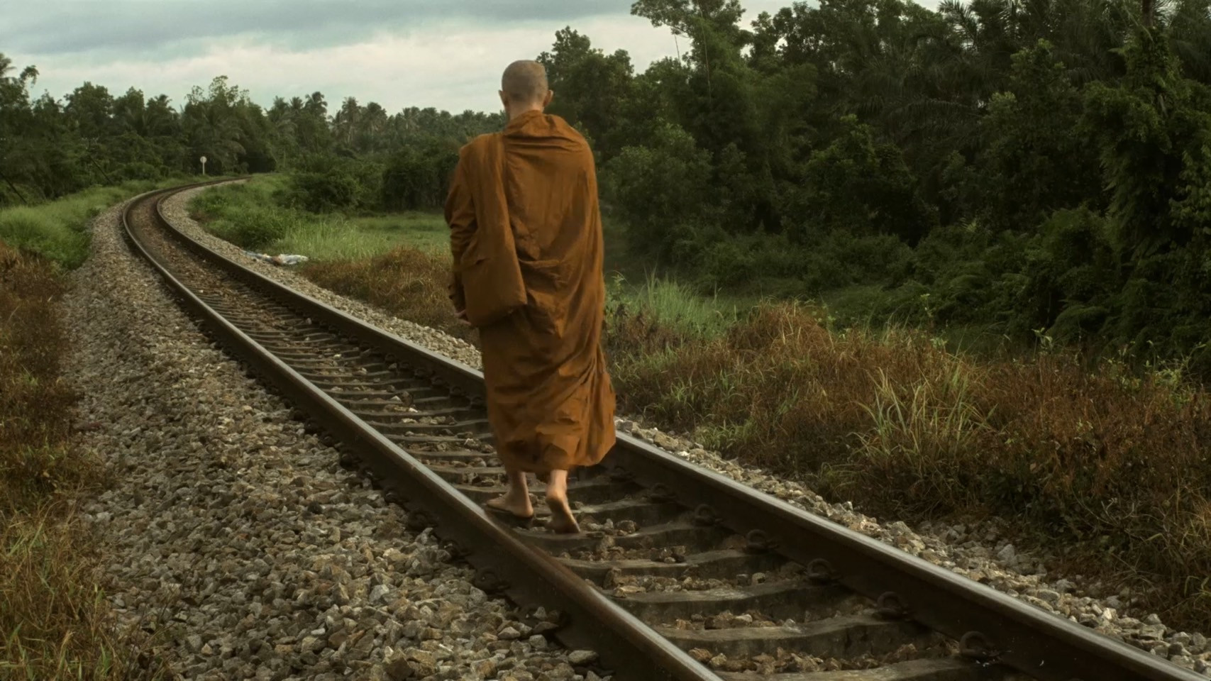 Wandering Background