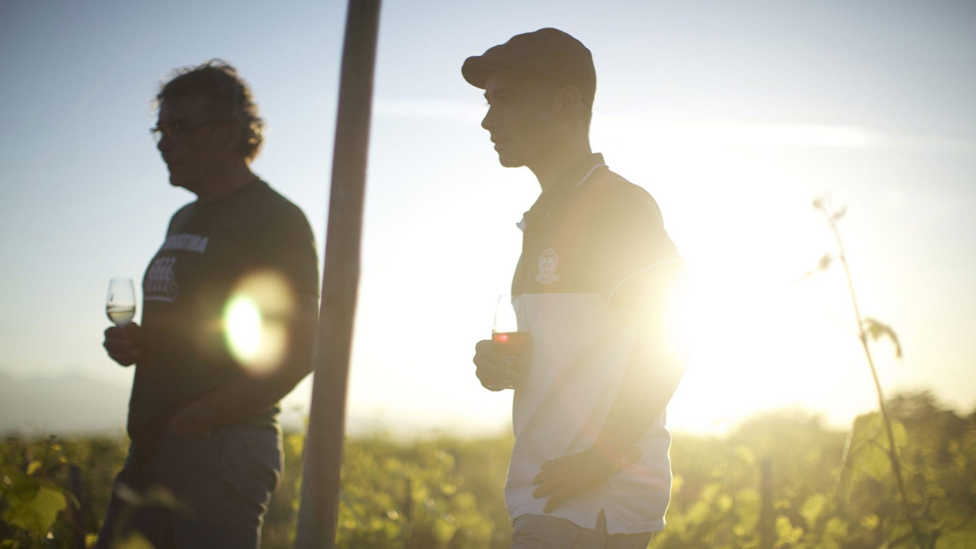 Wine Calling Background