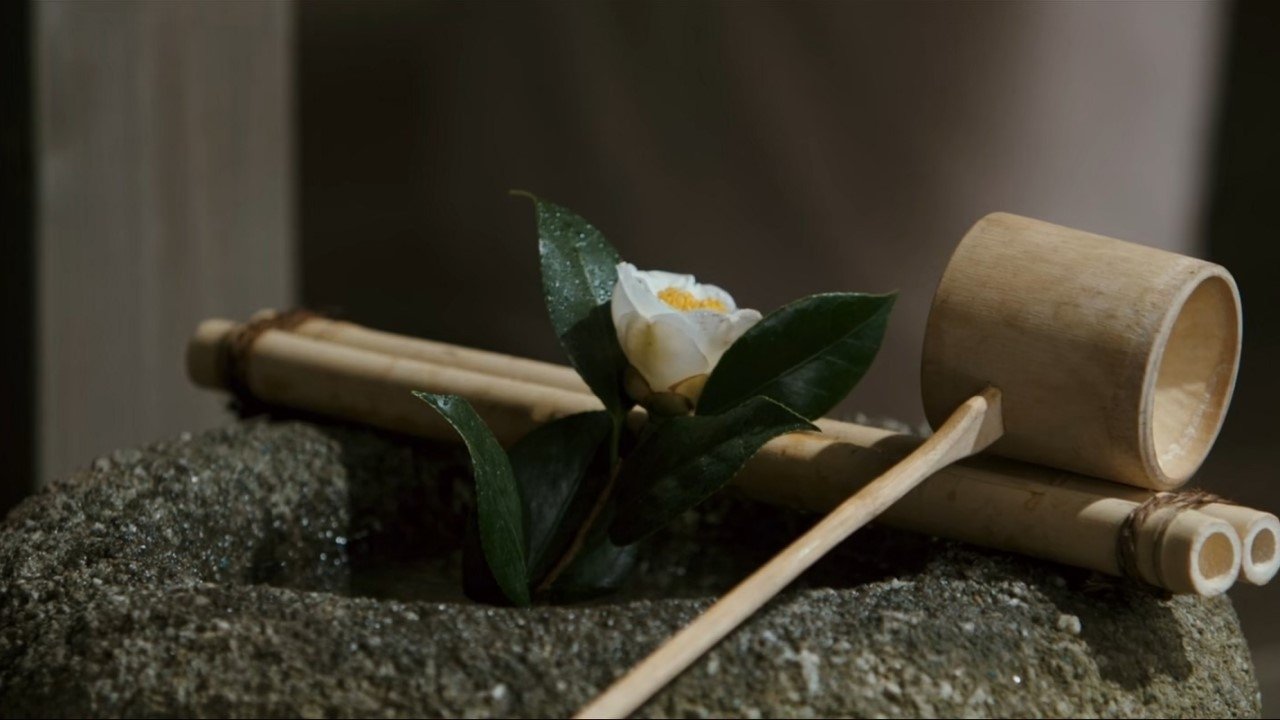 Ask This of Rikyu Background