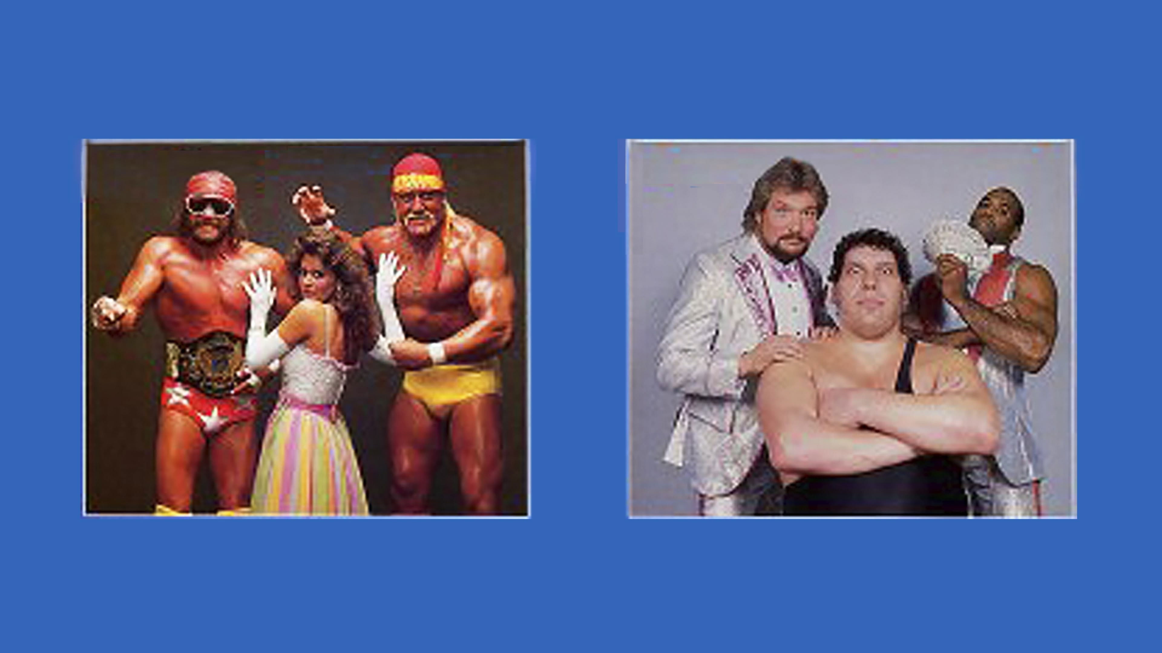 WWE SummerSlam 1988 Background