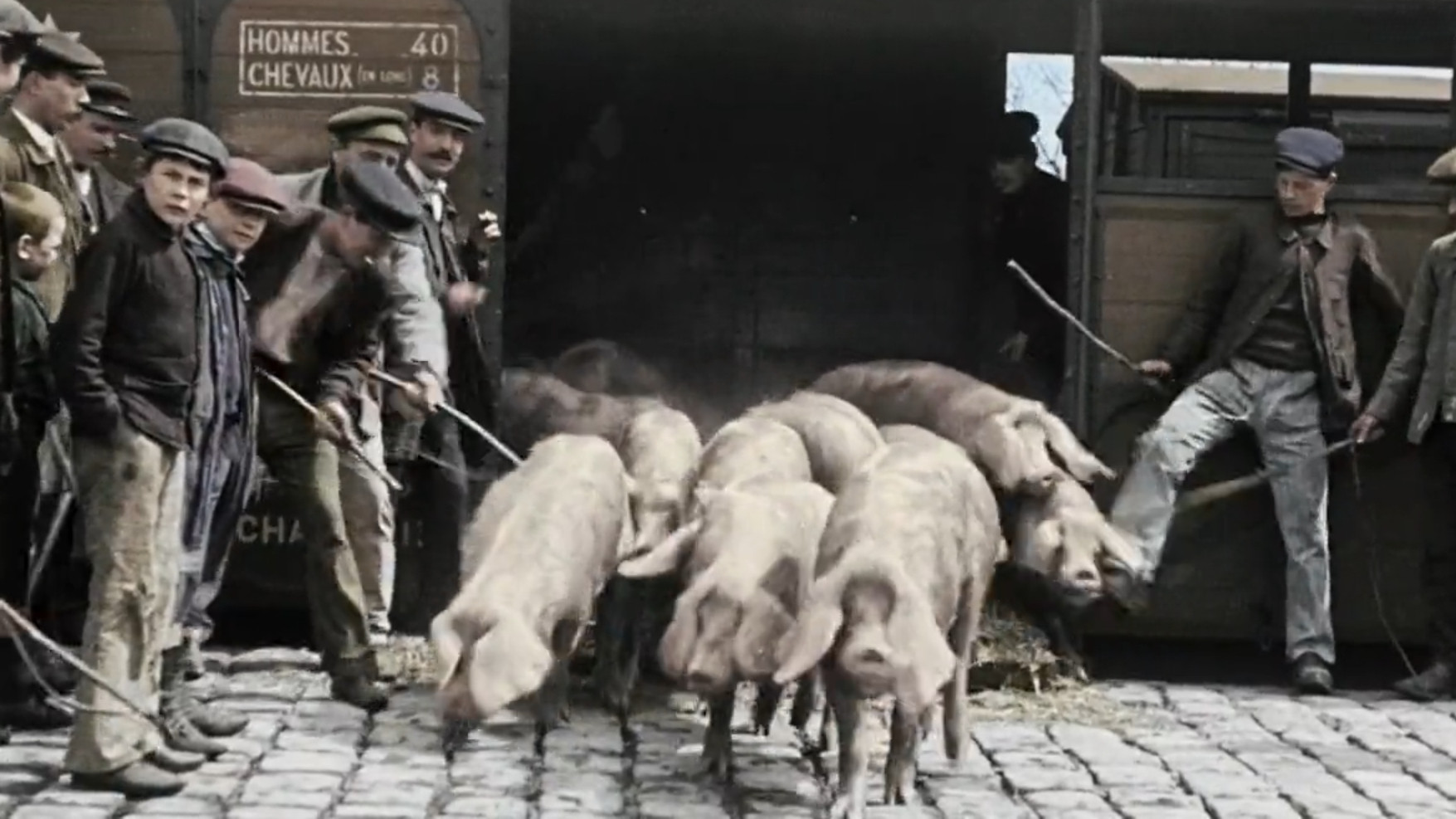 Nous paysans Background