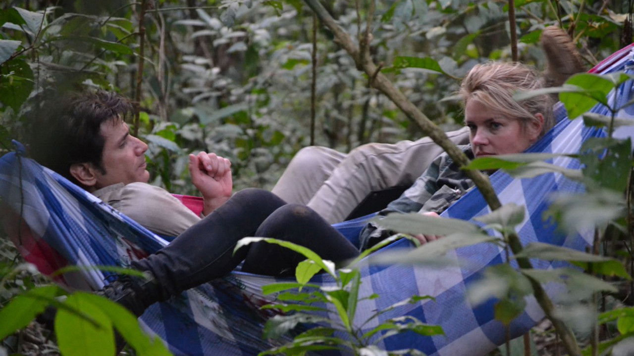 Lost Survivors Background