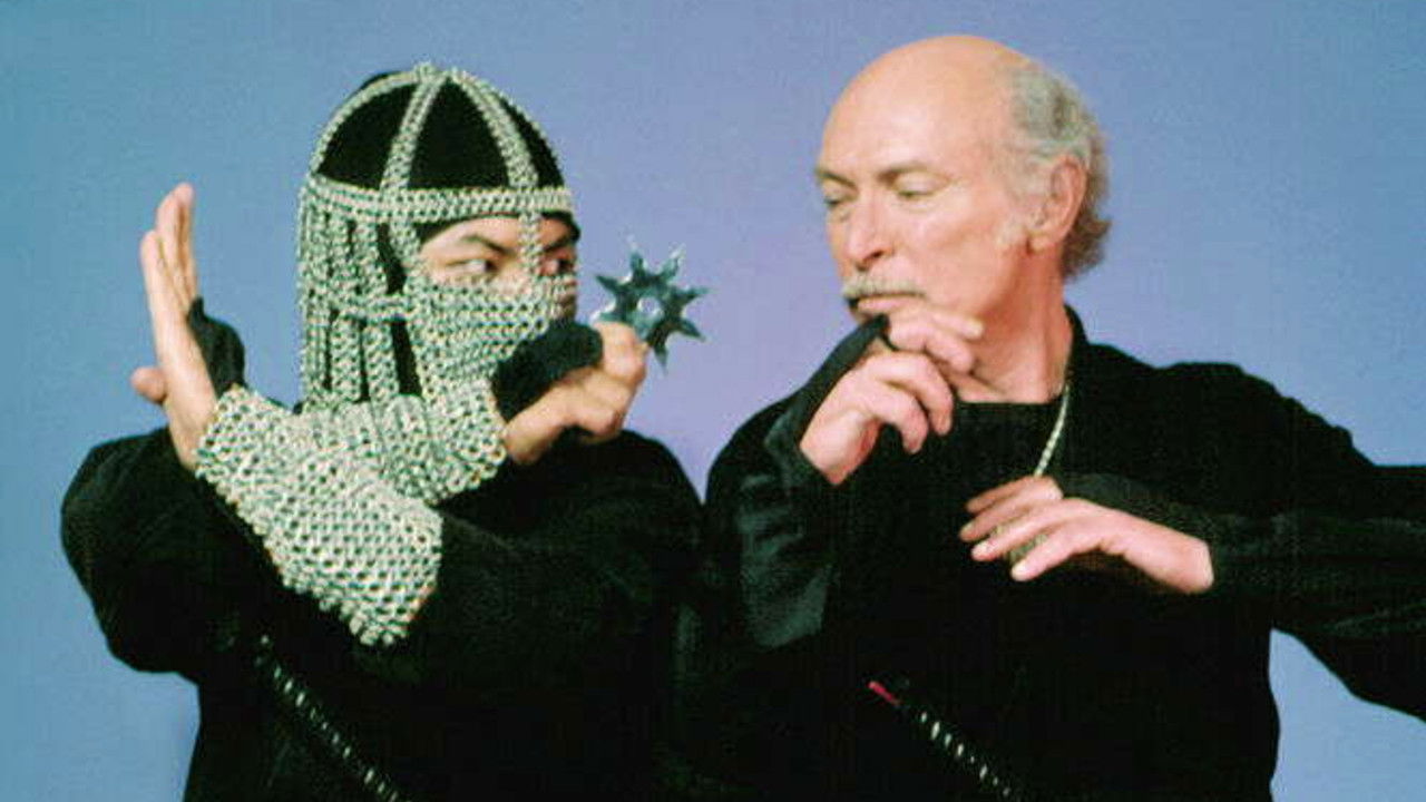 The Master Ninja 5 Background