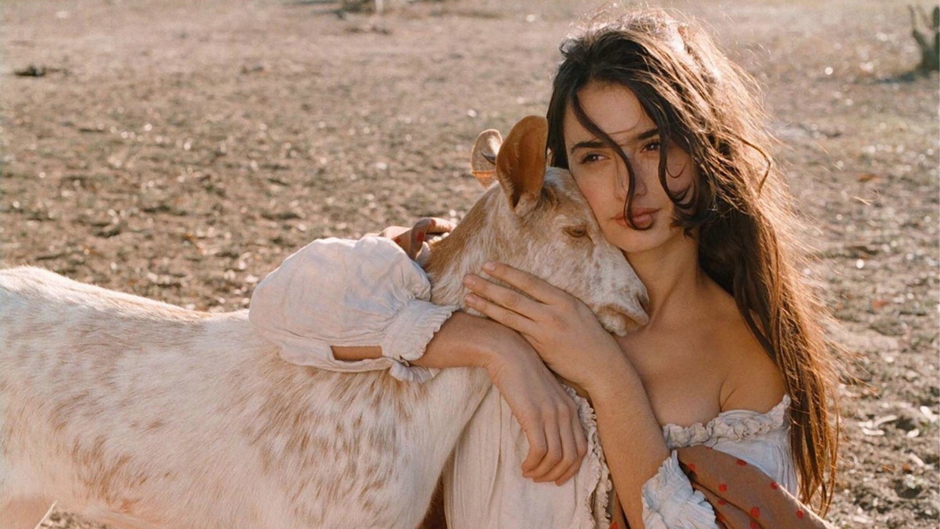 Volavérunt Background