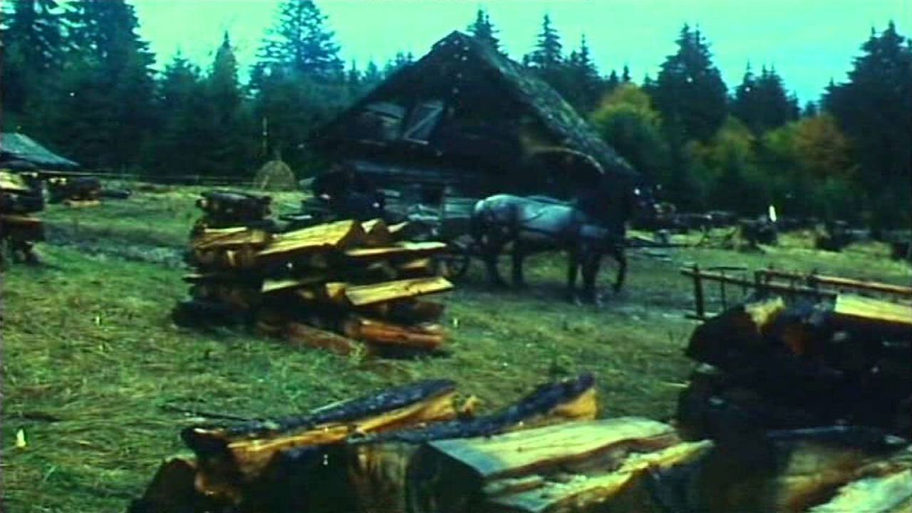 Ábel a rengetegben Background