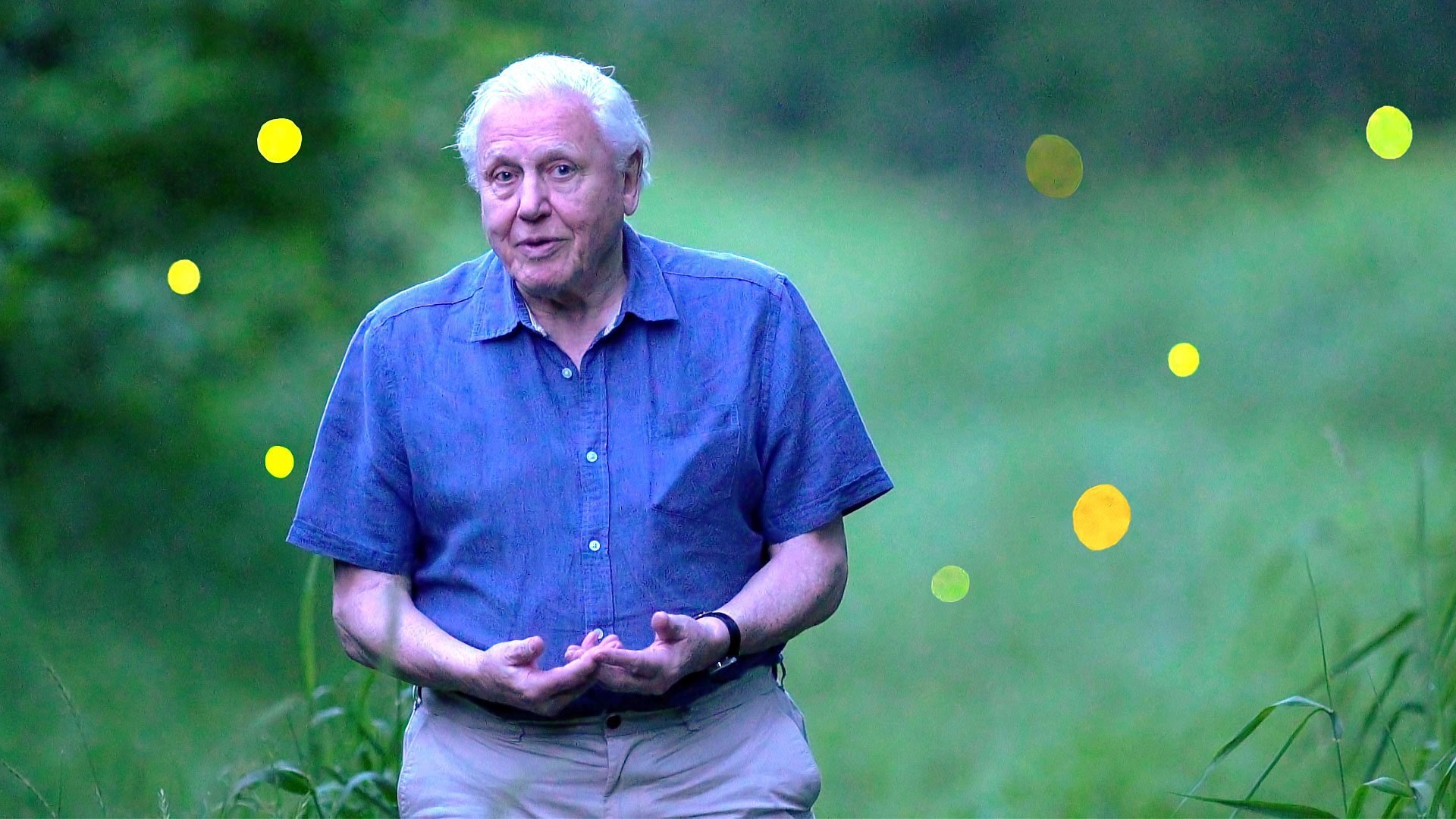 Attenborough's Life That Glows Background