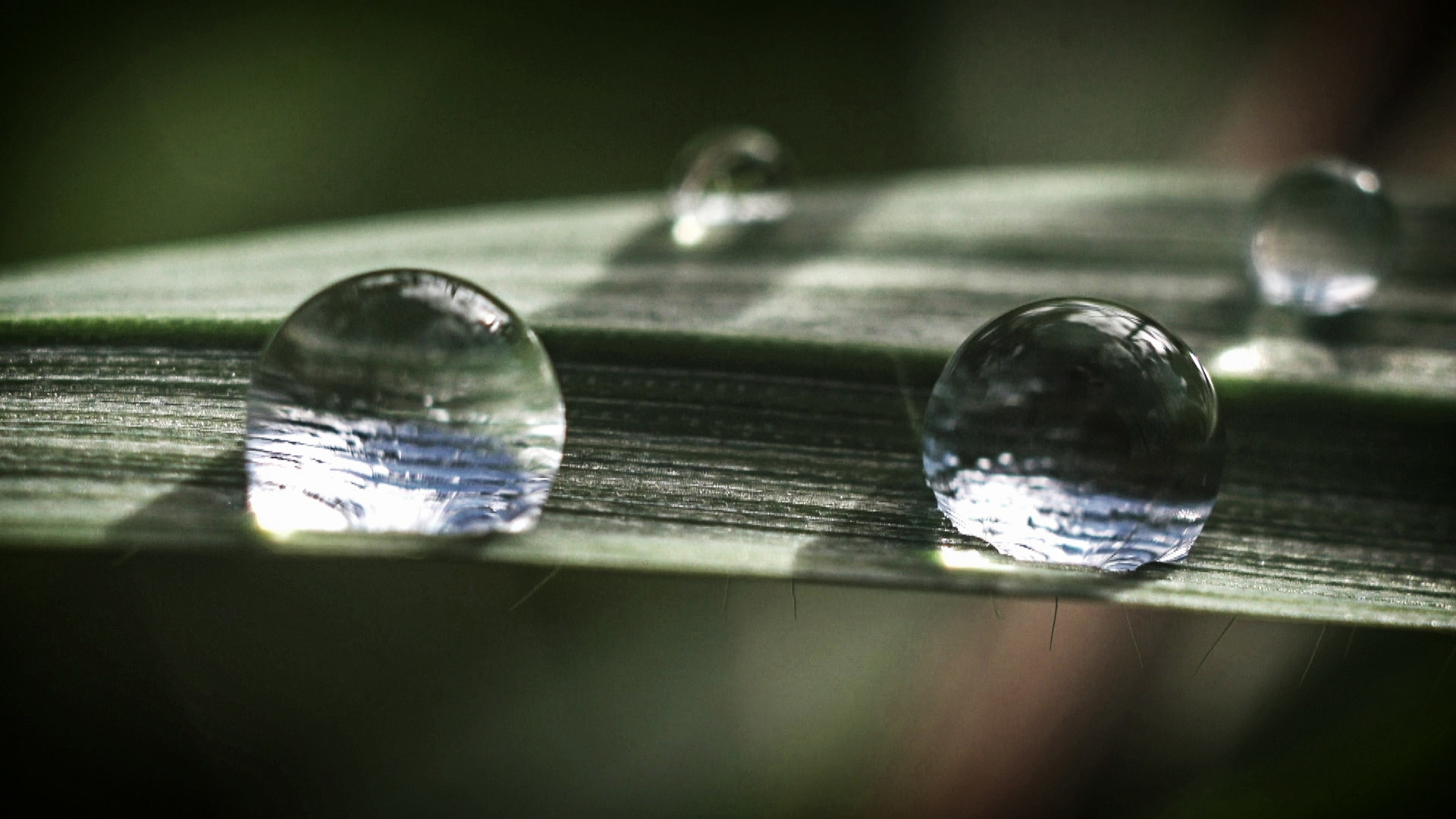 Efter floden Background