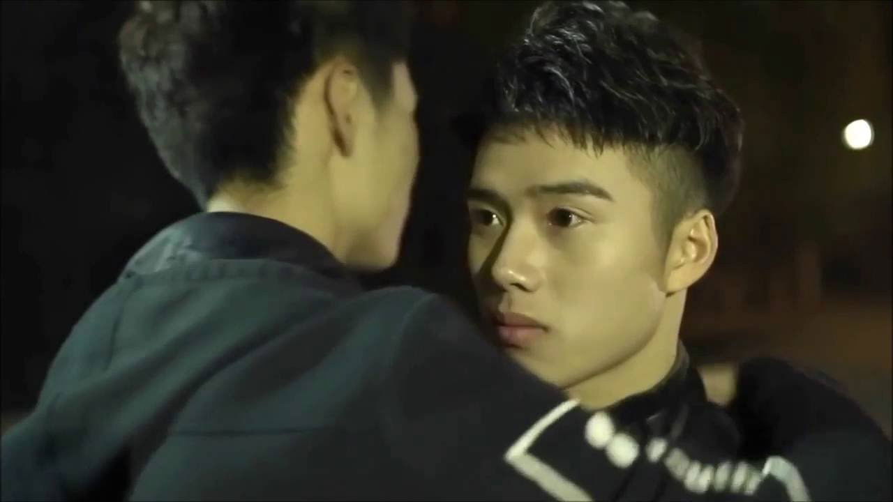 The Raccoon Background