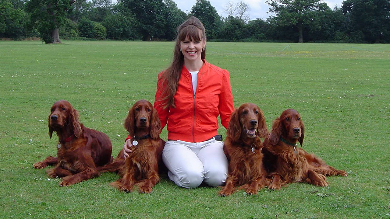 It's Me or the Dog Background