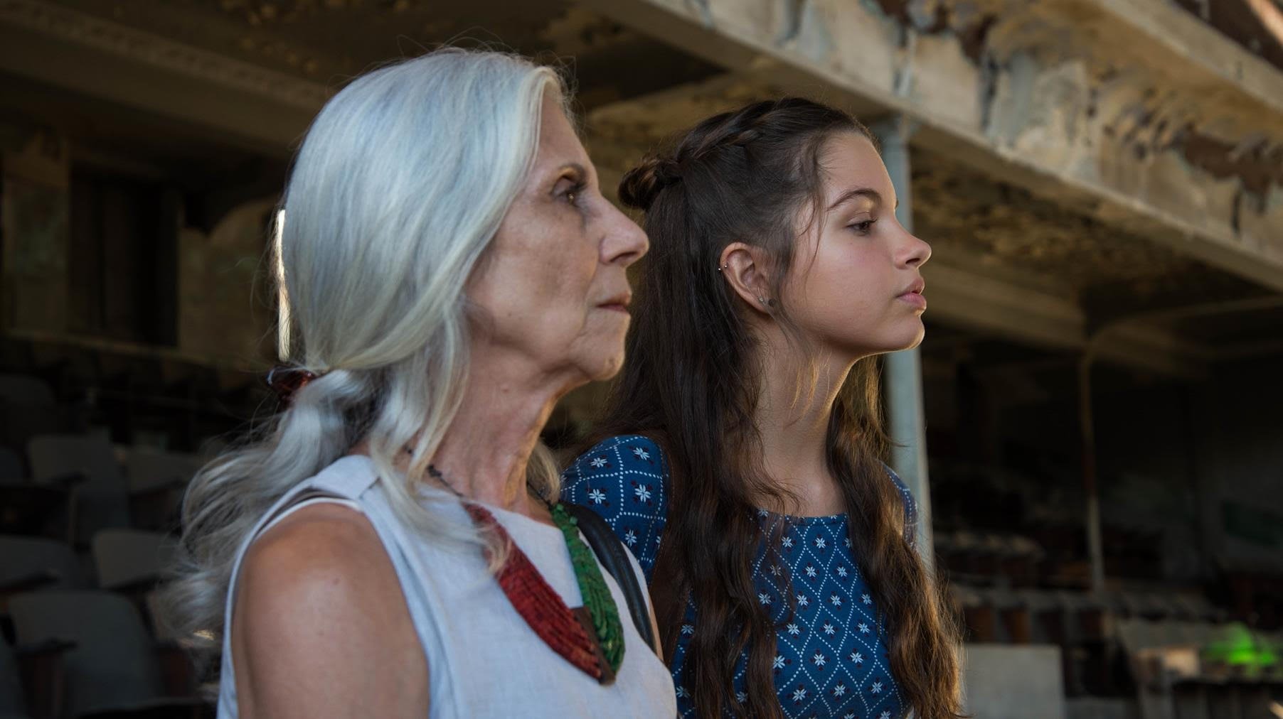 The Cotton Wool War Background