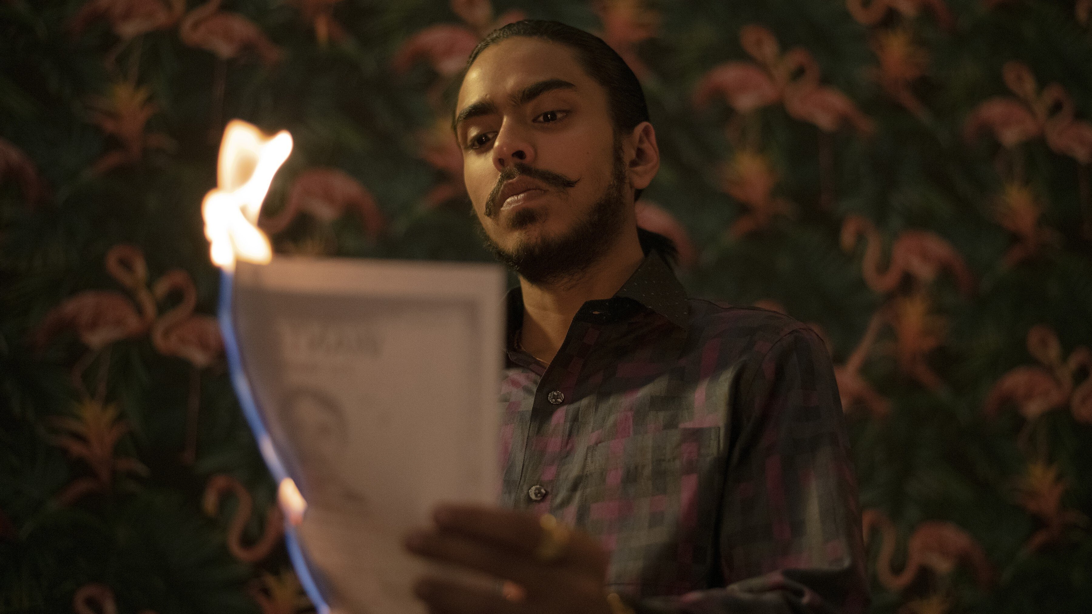 The White Tiger Background