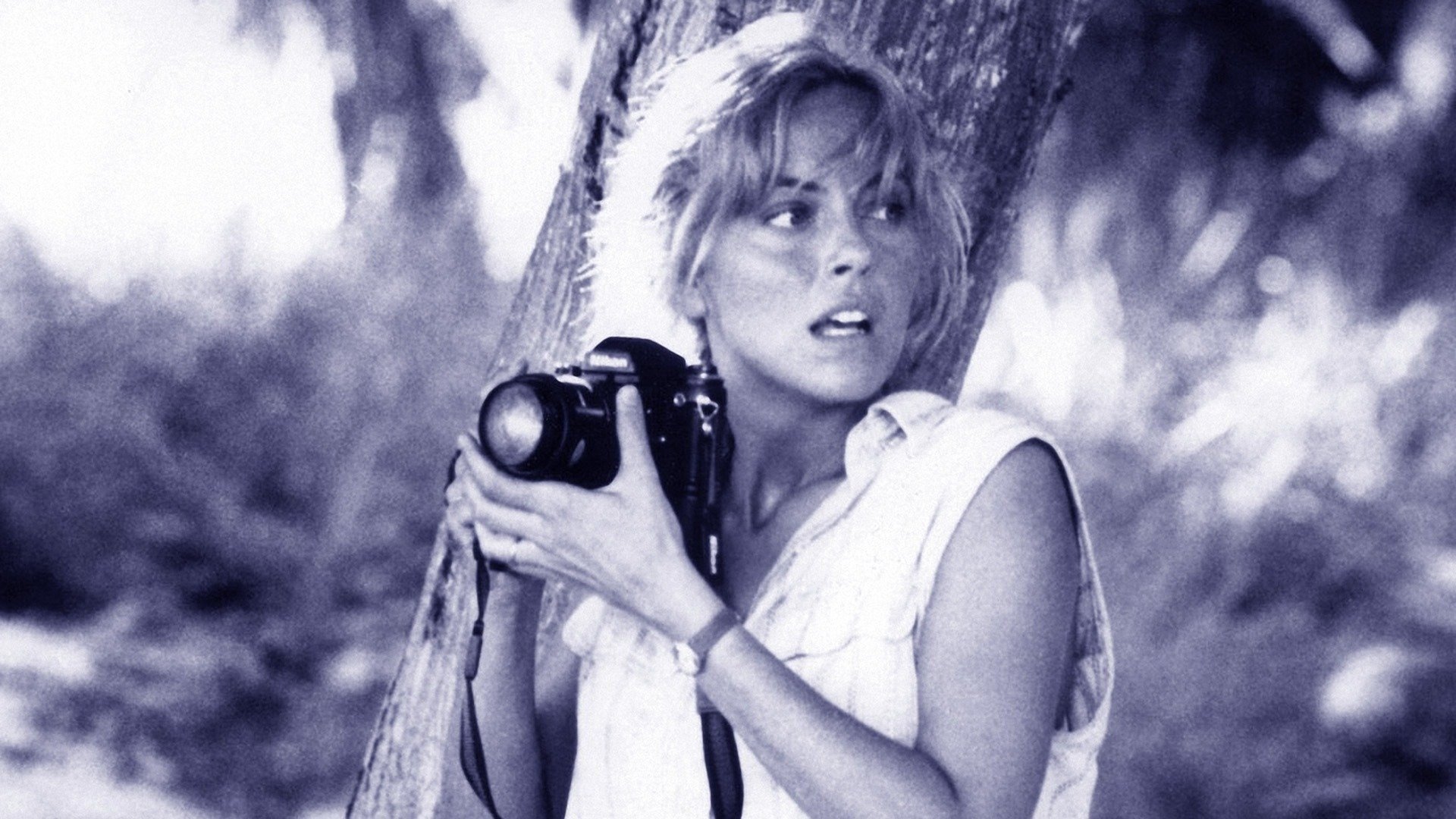 Turtle Beach Background