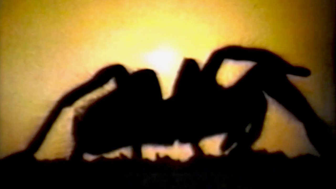 Tarantella Background