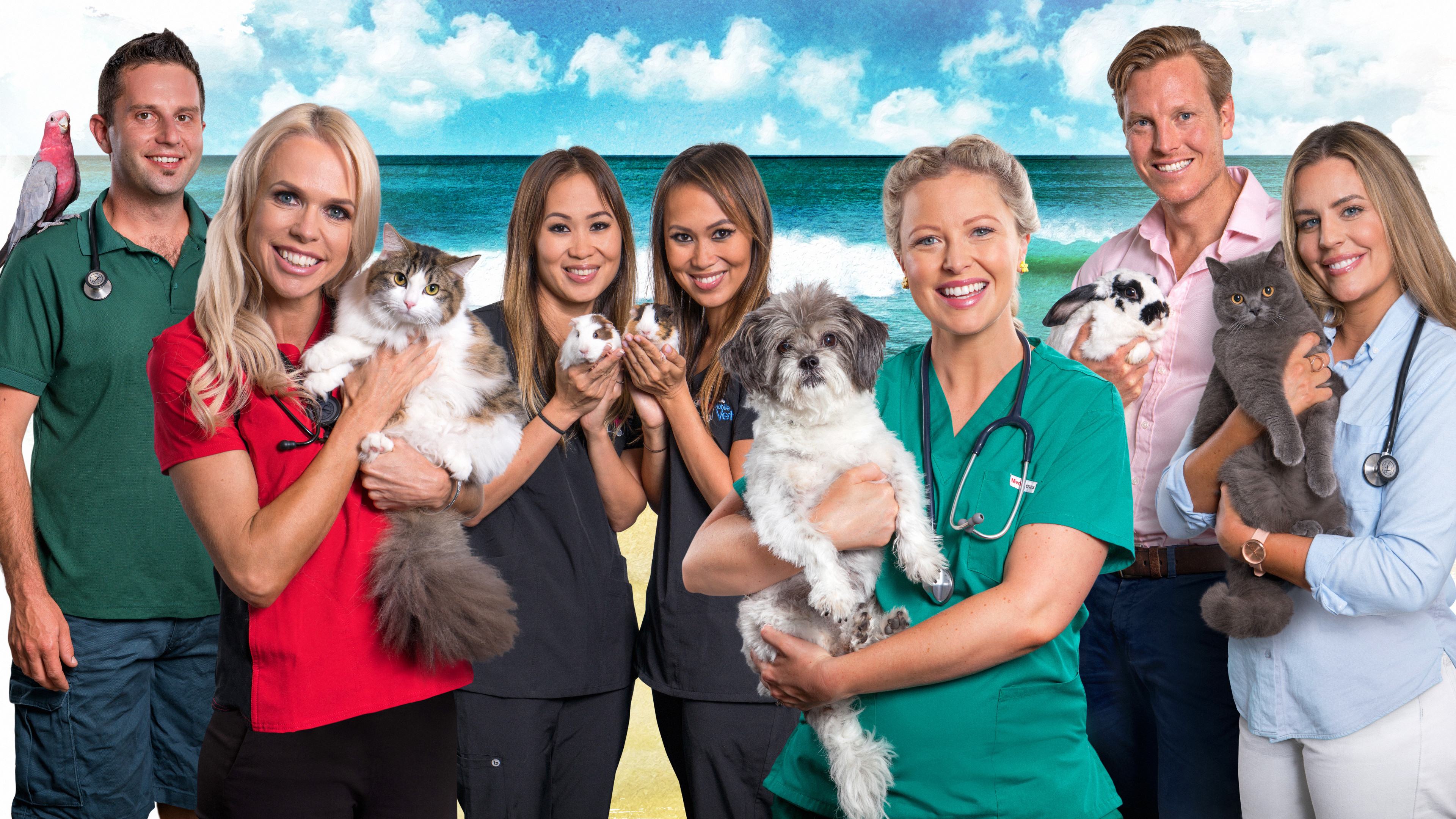 Bondi Vet: Coast to Coast Background