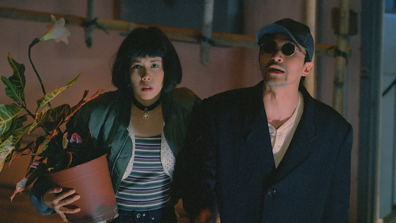 Out of the Dark Background