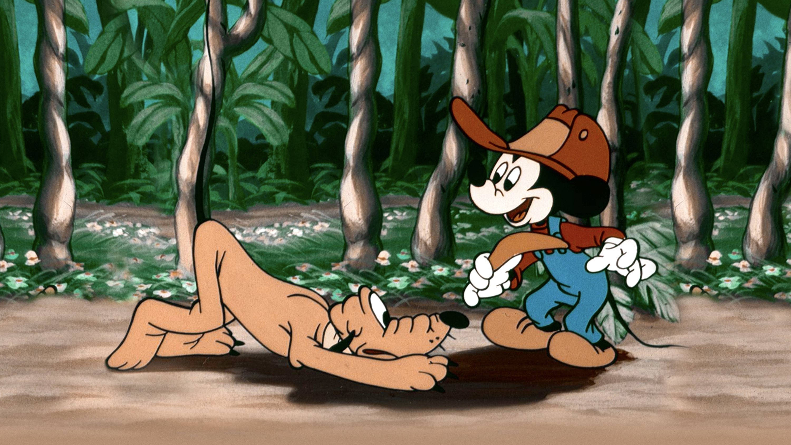 Mickey Down Under Background