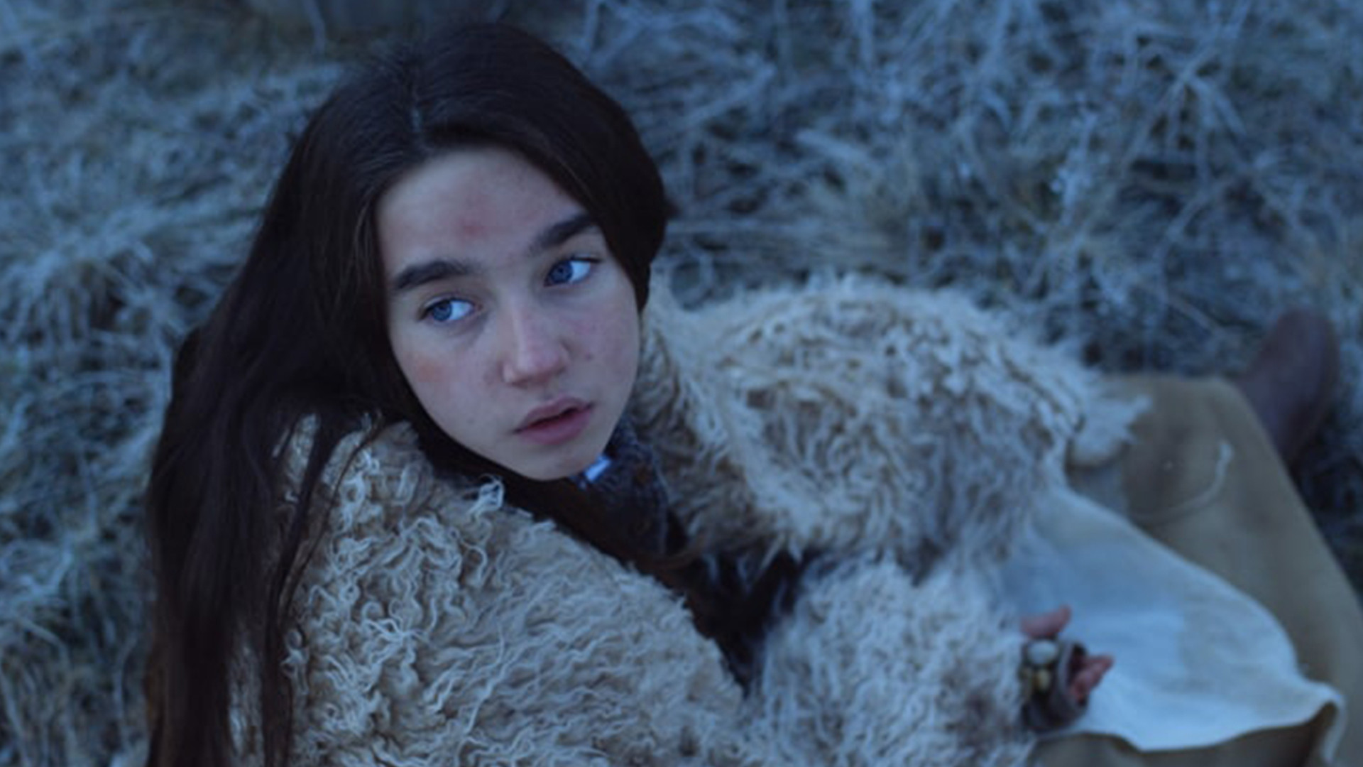 The Flame Background