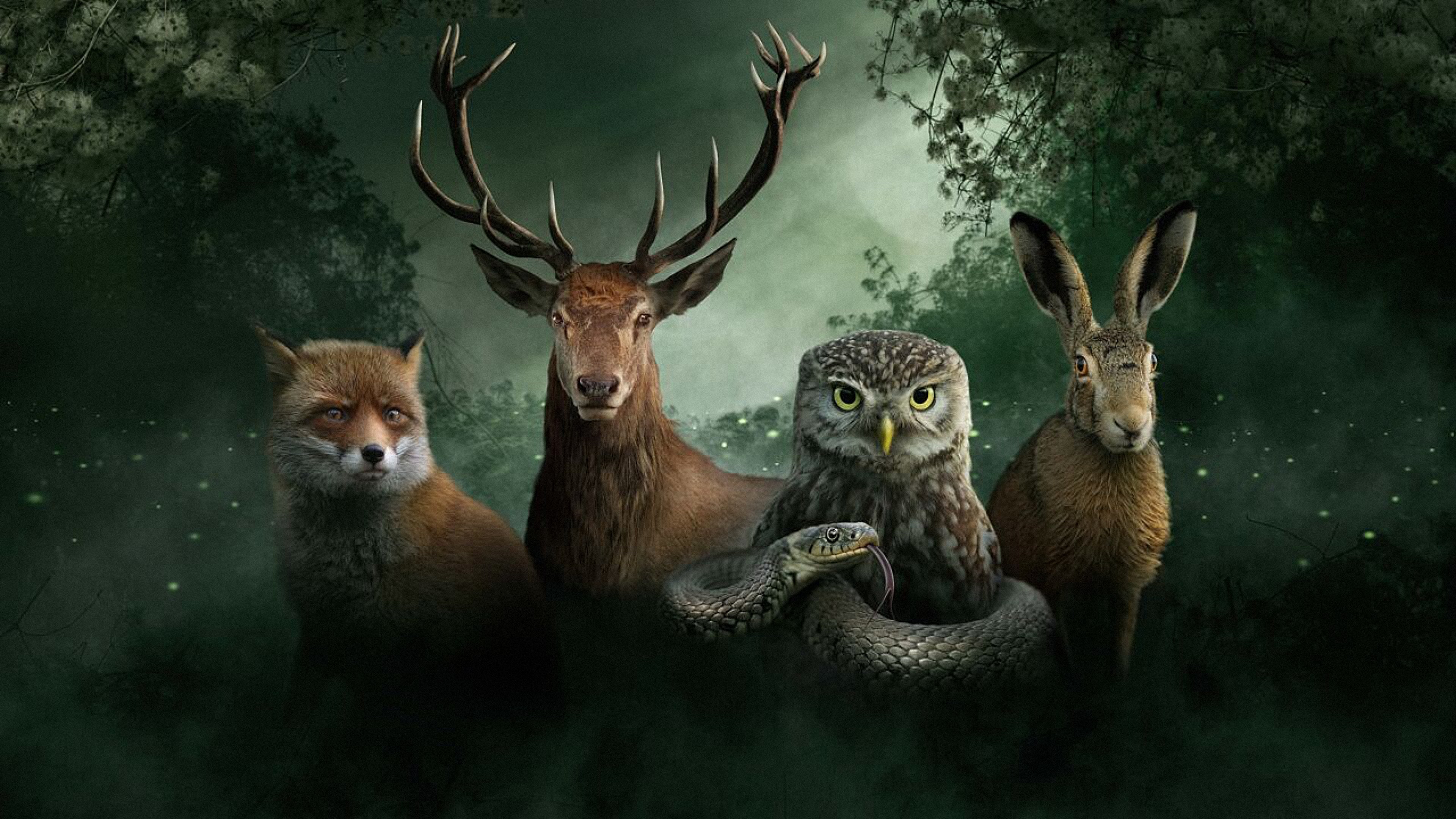 Our Nature, The Movie Background