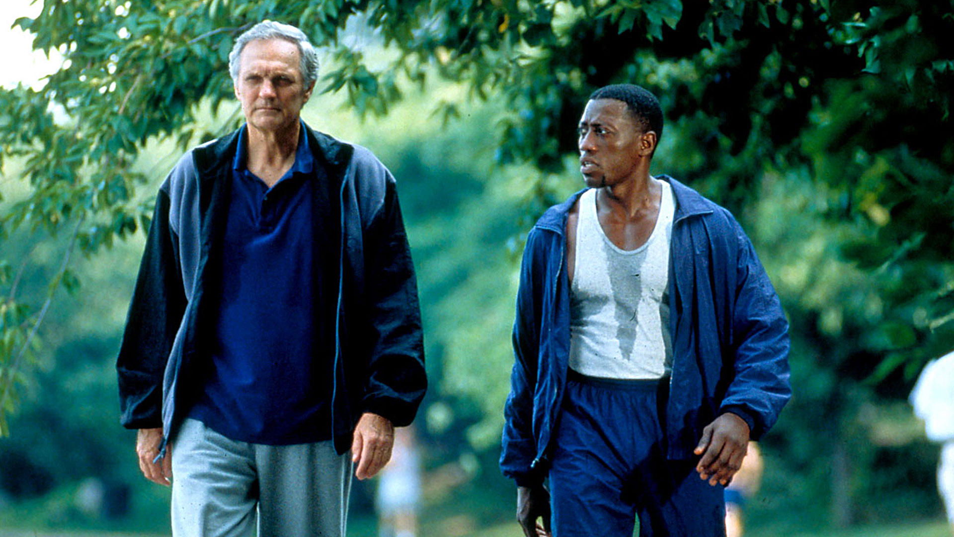 Murder at 1600 Background