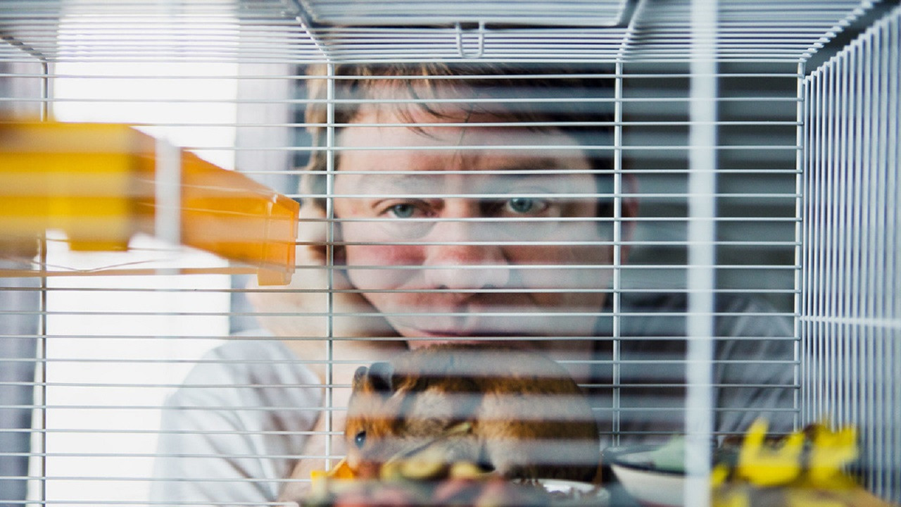 Der Hamster Background