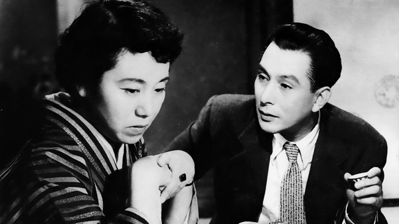 Late Chrysanthemums Background