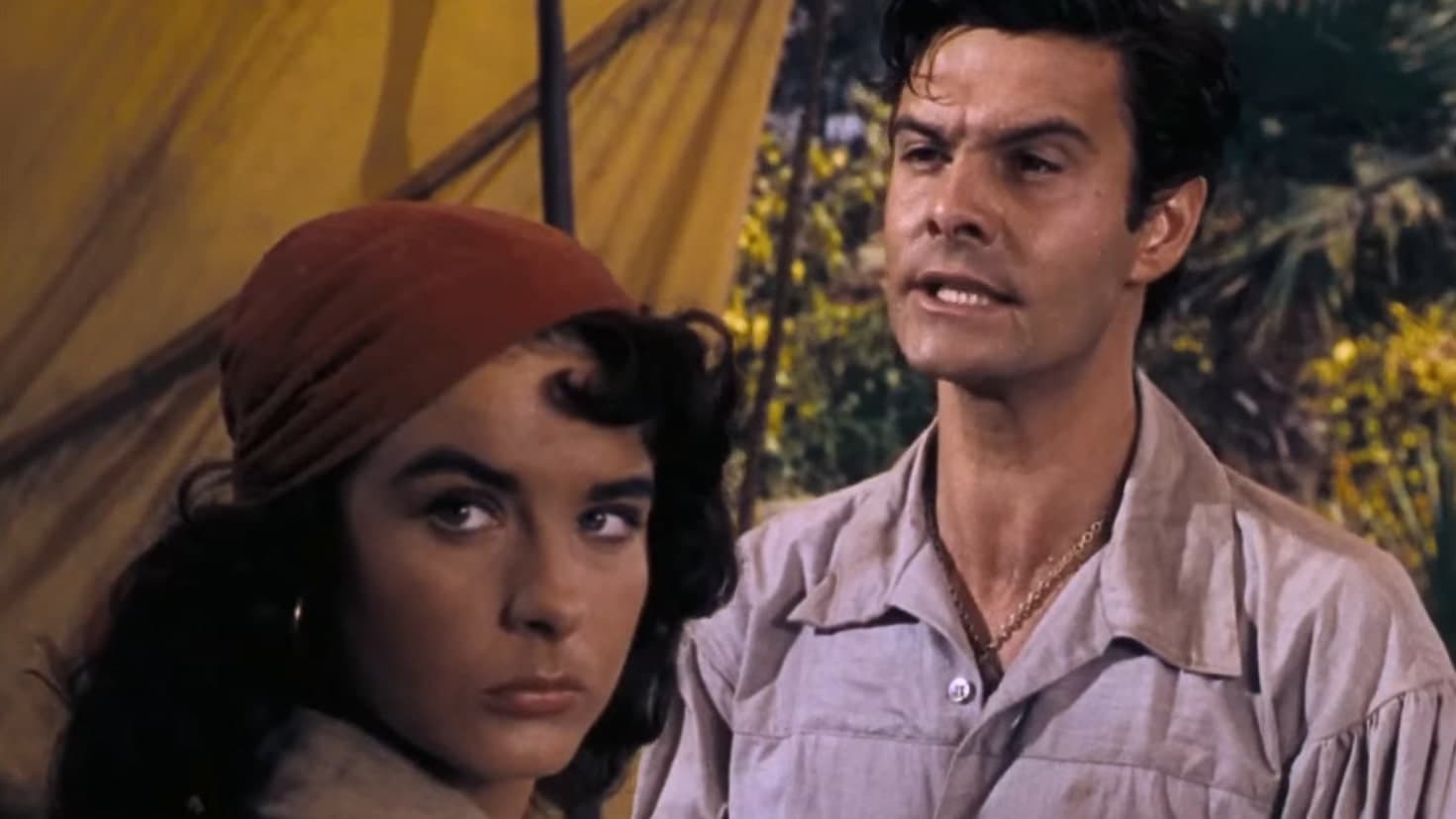 Anne of the Indies Background