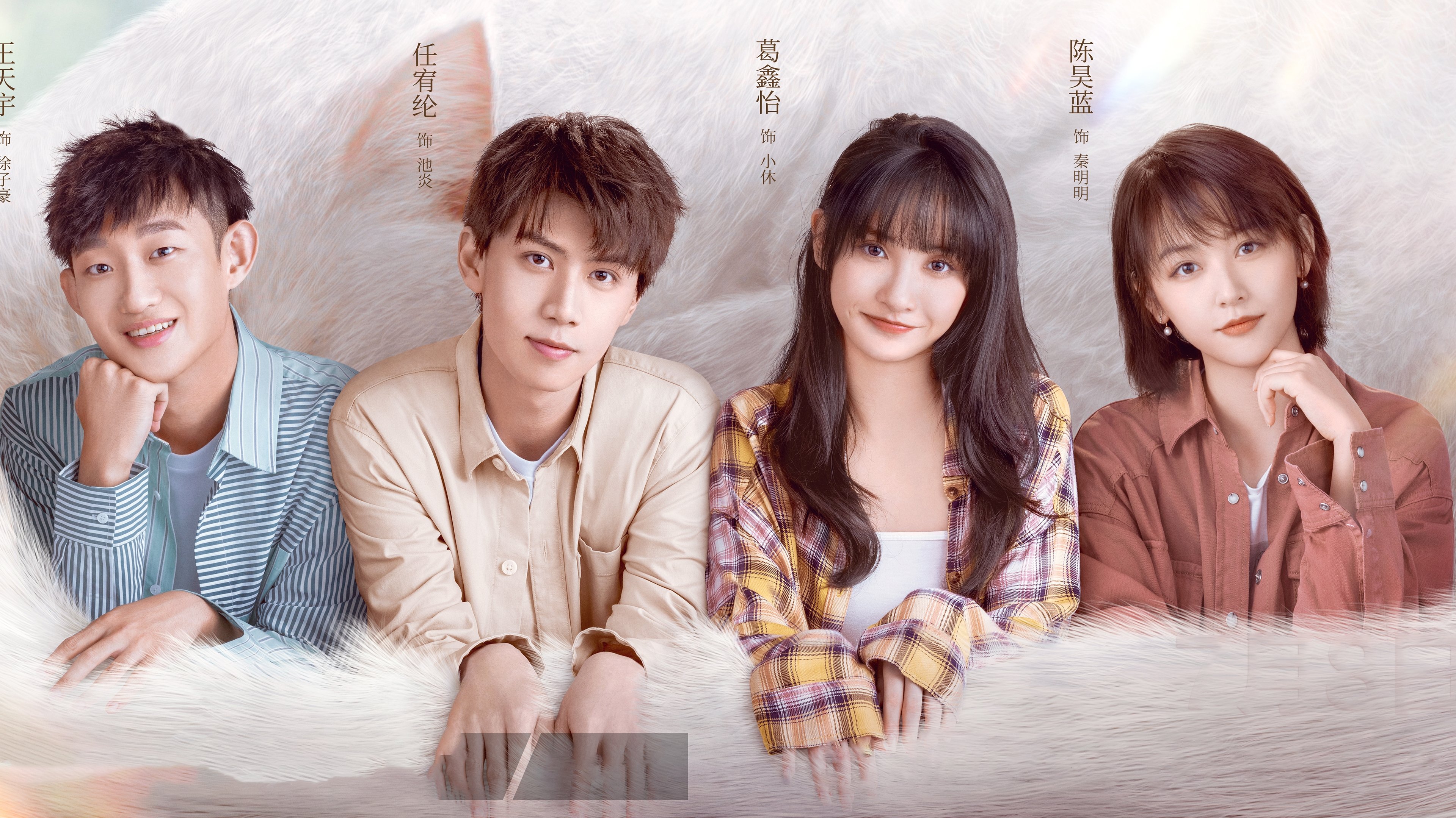 Make a Wish Background