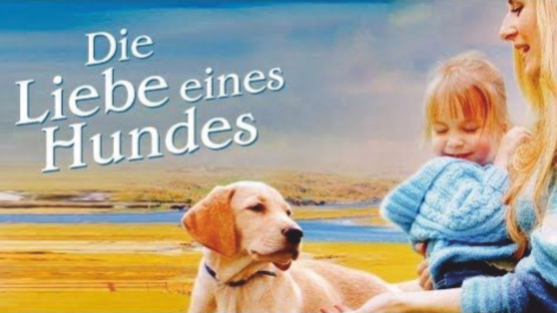 More Than Puppy Love Background