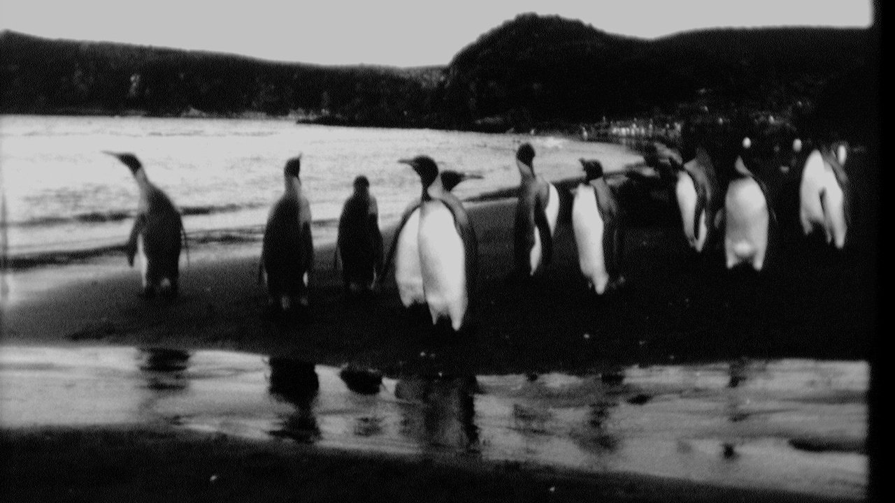 End of Summer Background