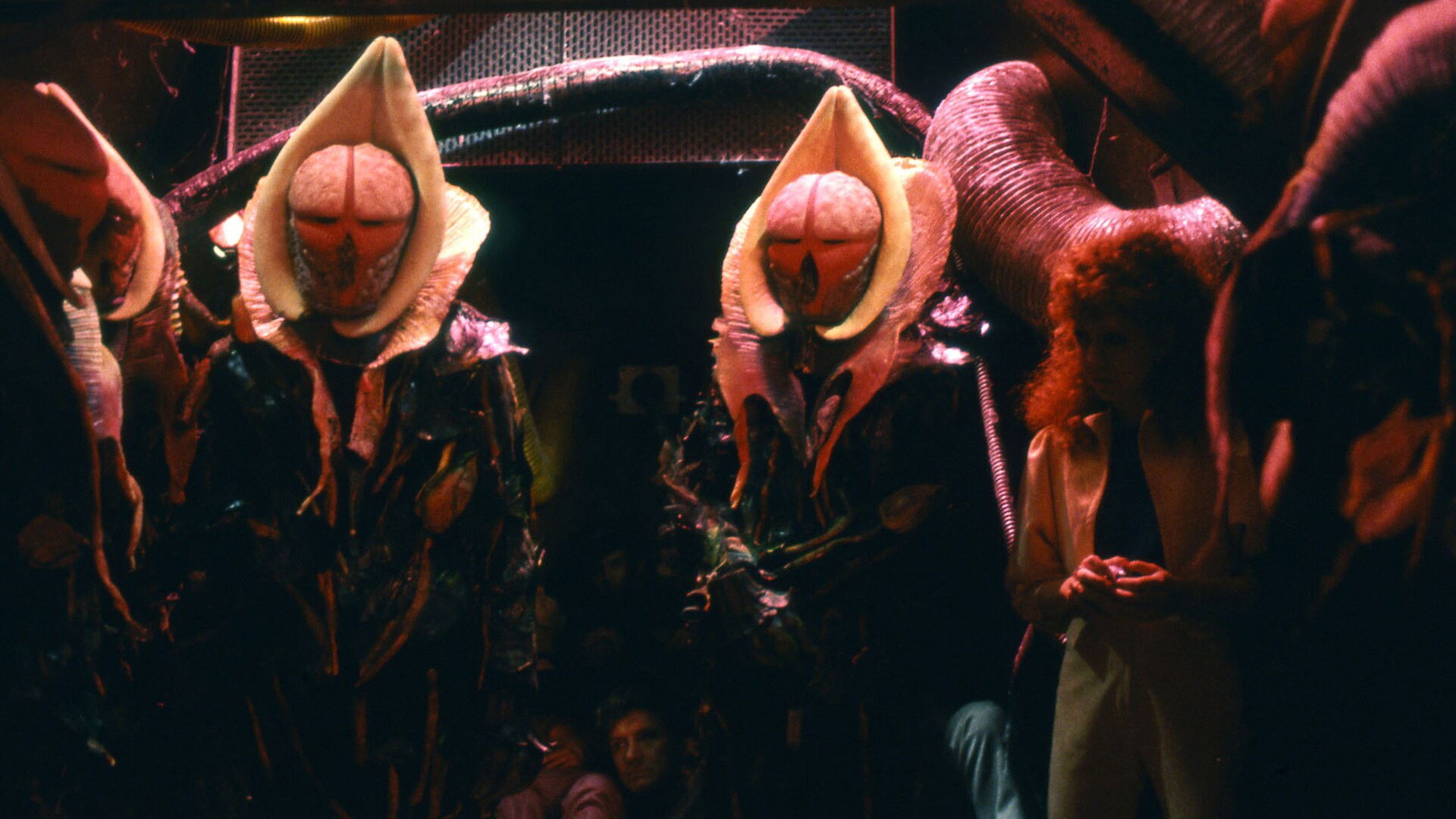 Doctor Who: Terror of the Vervoids Background