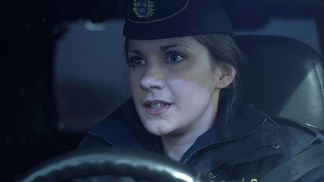 Wallander: The Leak Background