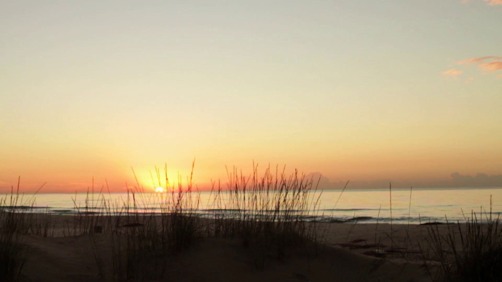 Huellas de ausencia Background