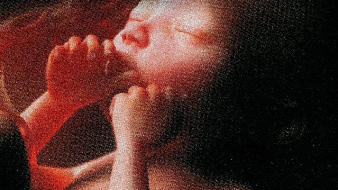 L'odyssée de la vie Background