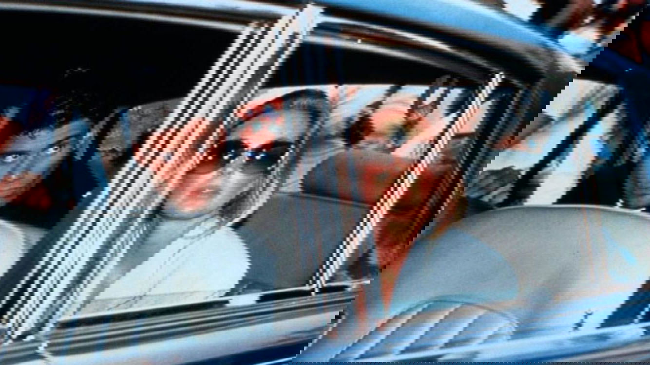 Woman of Desire Background