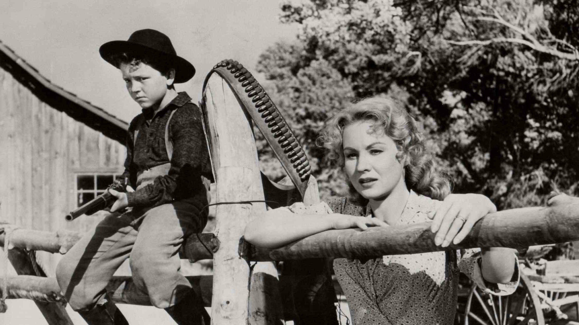 Fort Dobbs Background