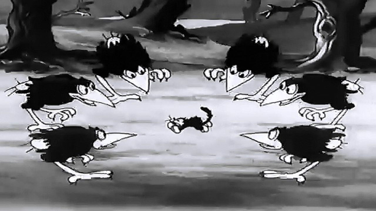 The Cat's Out Background