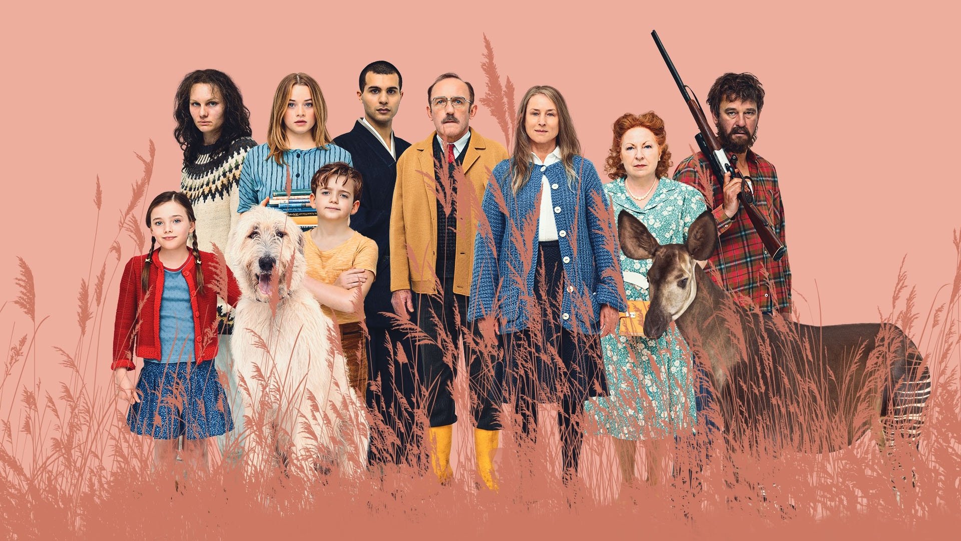 What You Can See from Here Background