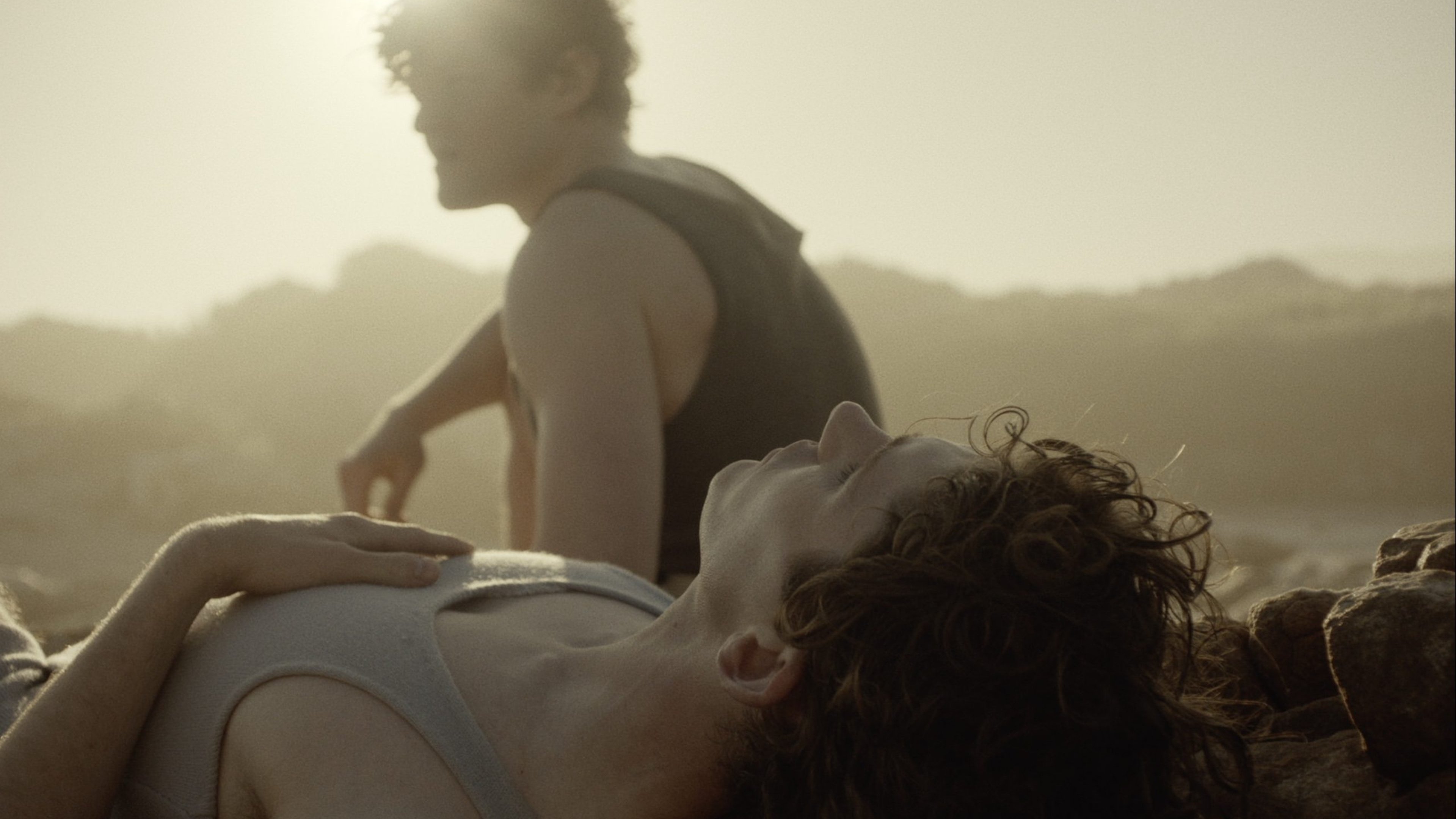 Lilies Not for Me Background