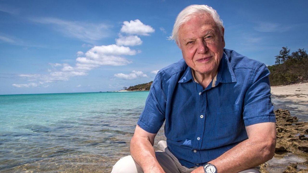 State of the Planet Background