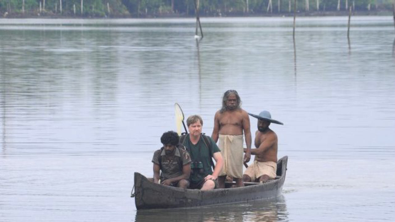 Papilio Buddha Background