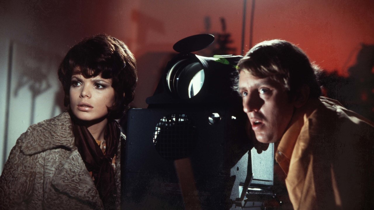 Angels of Terror Background