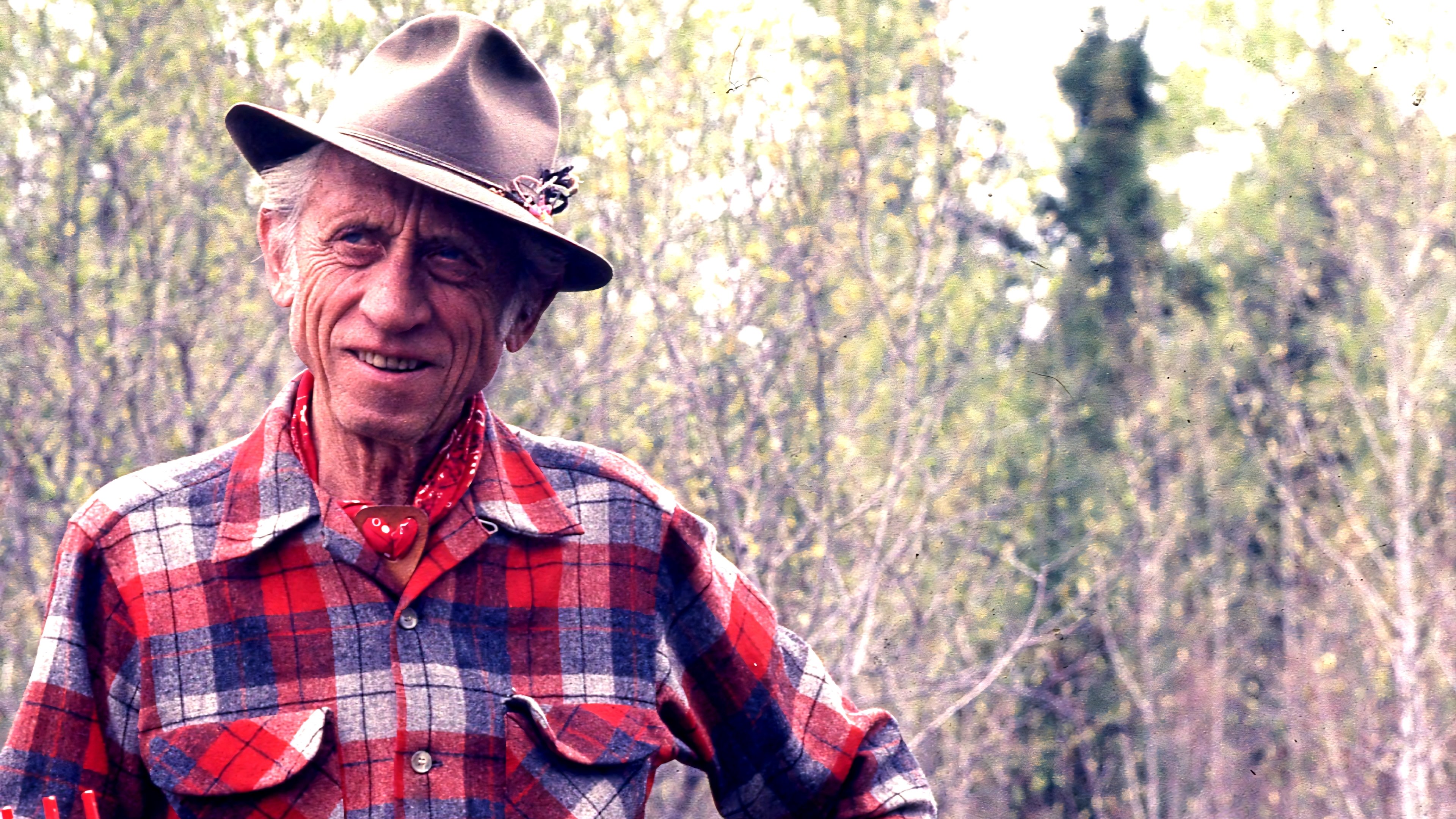 Bear Video Theater Background