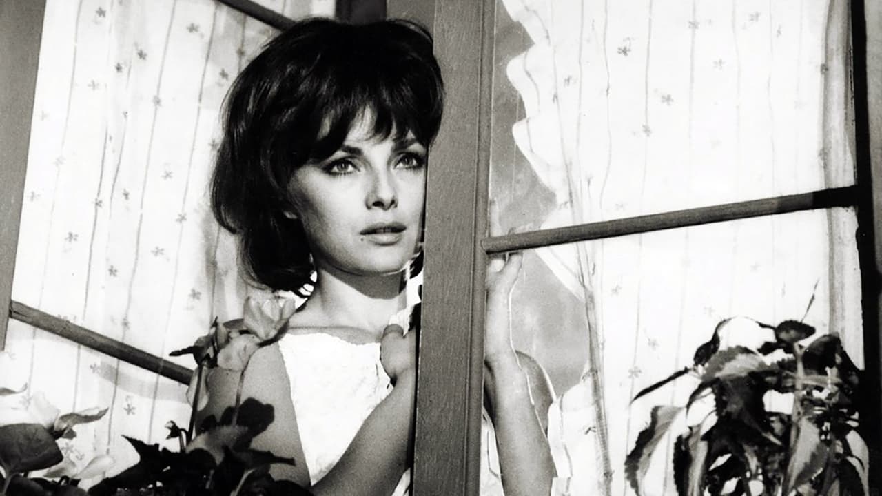 The Birds, the Bees and the Italians Background