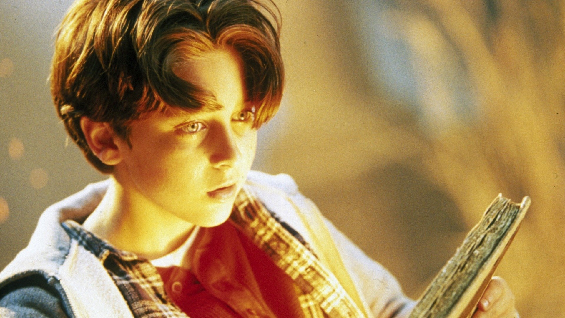 Warriors of Virtue Background