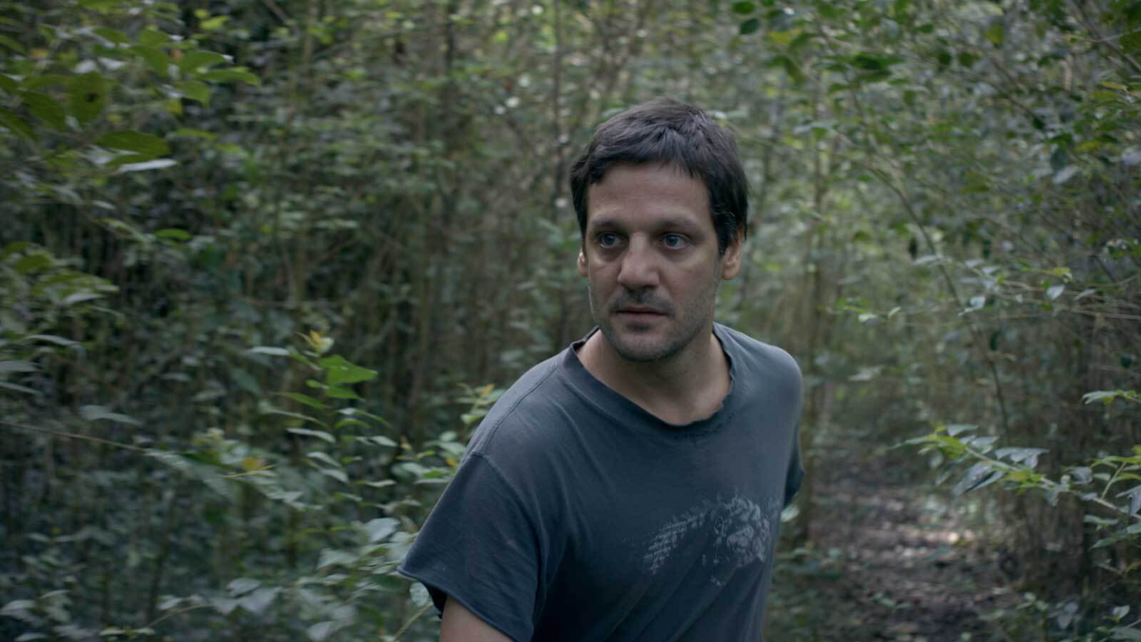 Al acecho Background