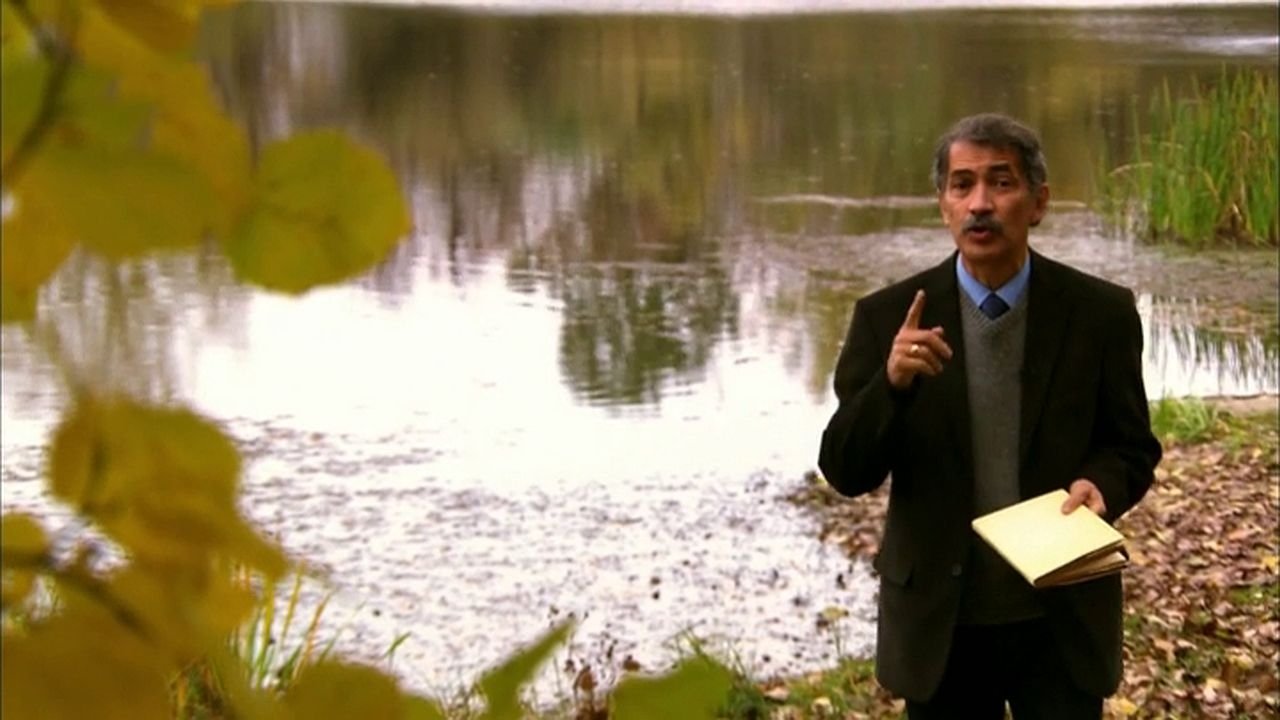 The History of Hungary Background